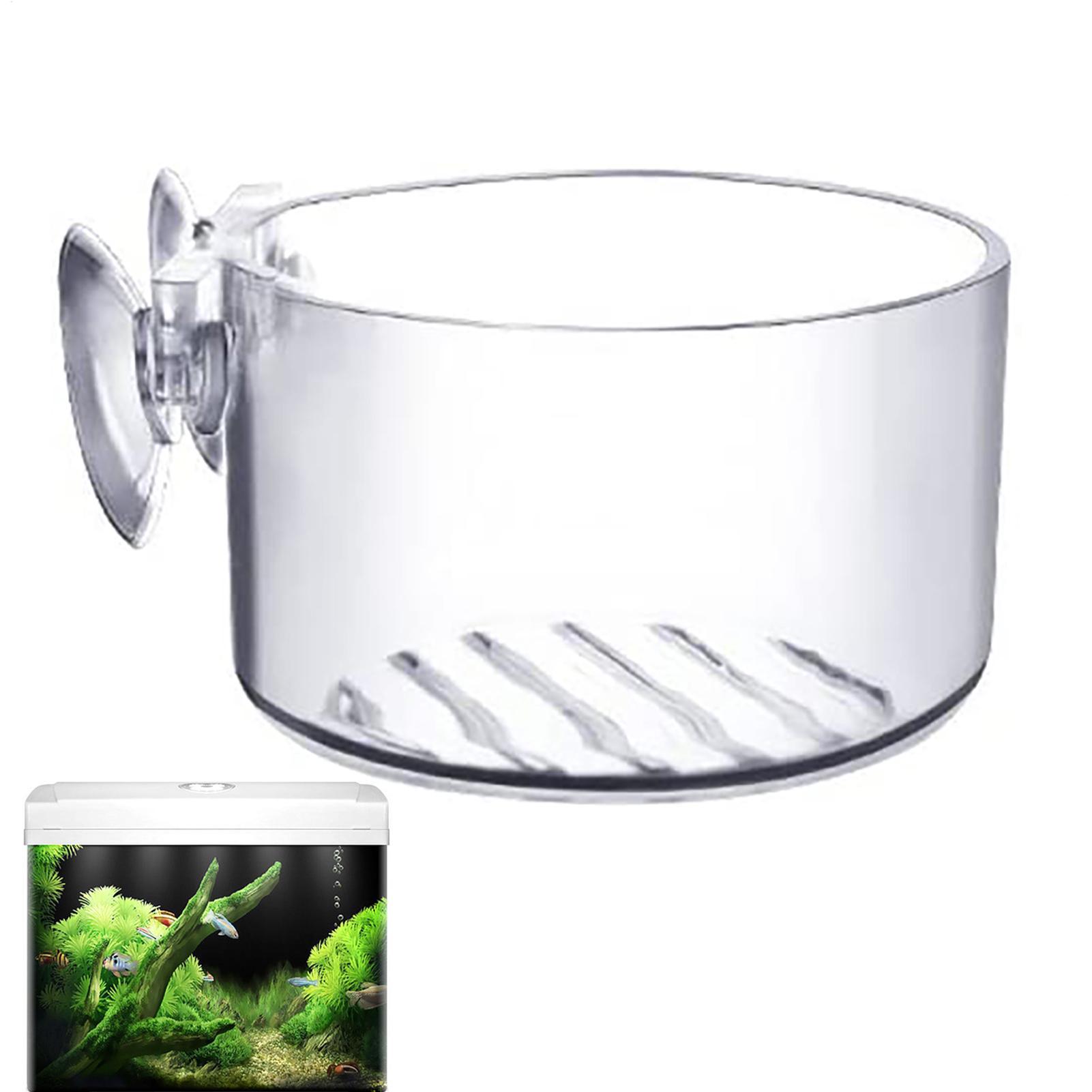 Supporto per piante acquatiche - Aquarium Fish Beautiful recensione e prezzo