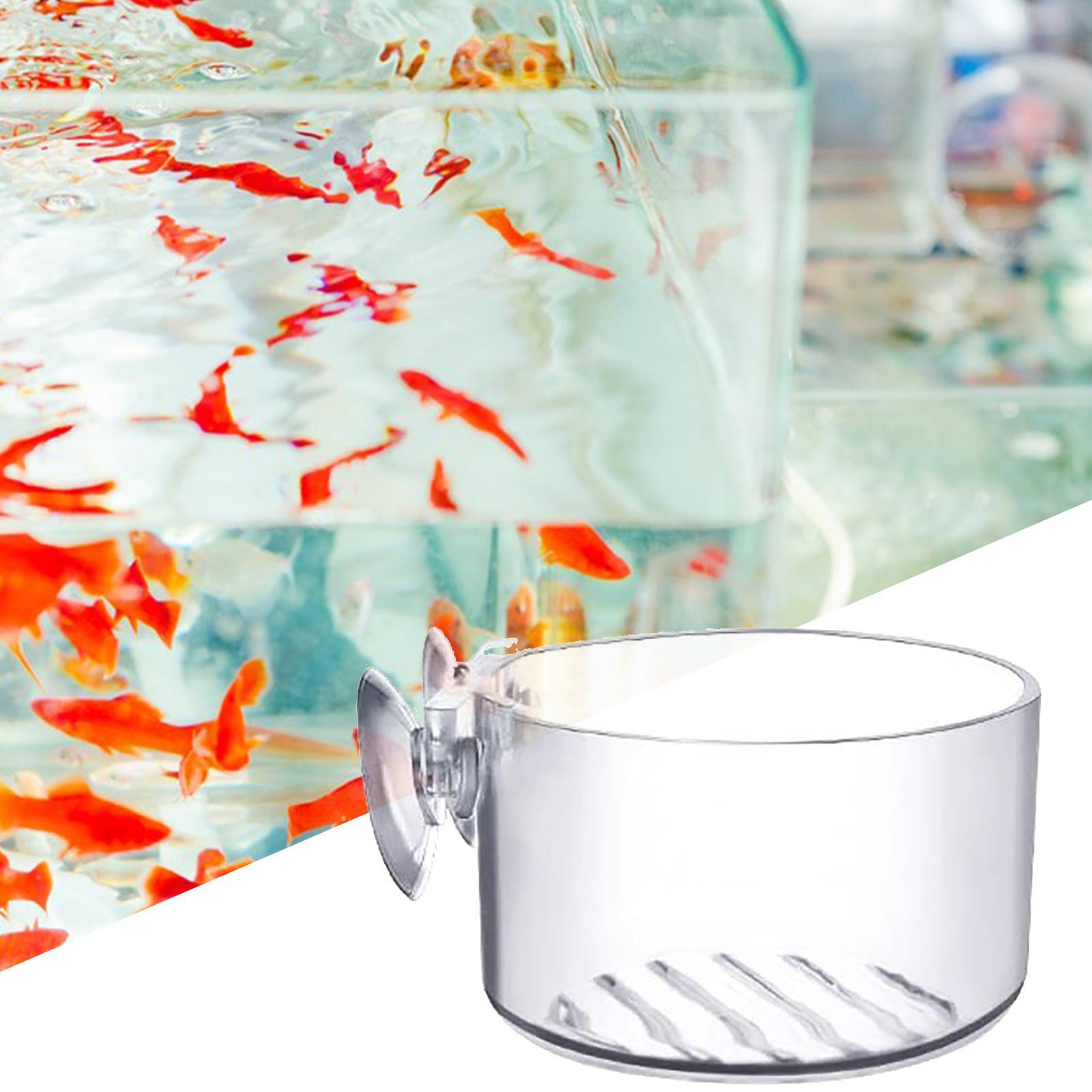Supporto per piante acquatiche - Aquarium Fish Beautiful recensione e prezzo