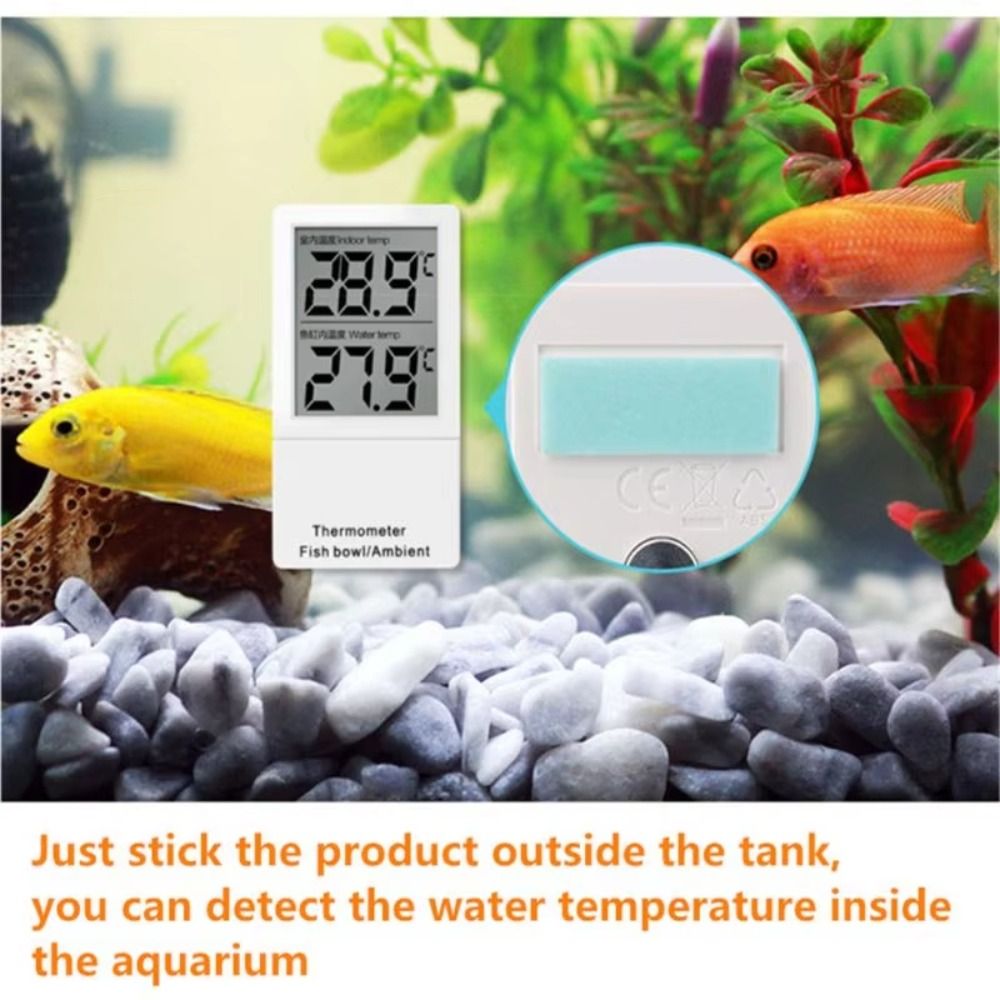 Display digitale LCD Mini term - Aquarium Thermometer recensione e prezzo