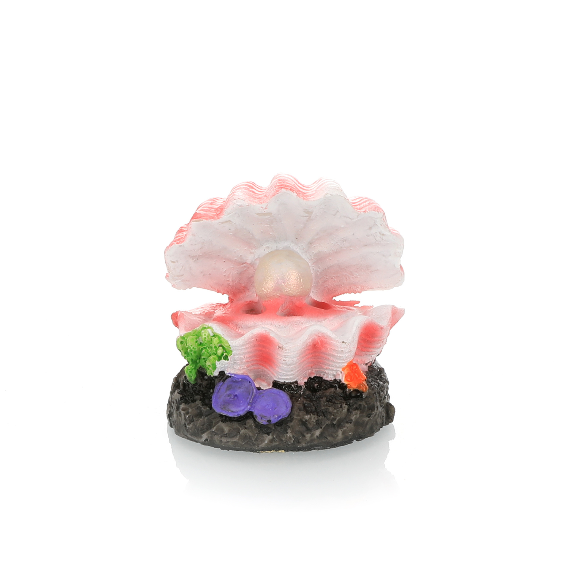 Simulazione paesaggistica per  - Aquarium Fish Enrichment recensione e prezzo