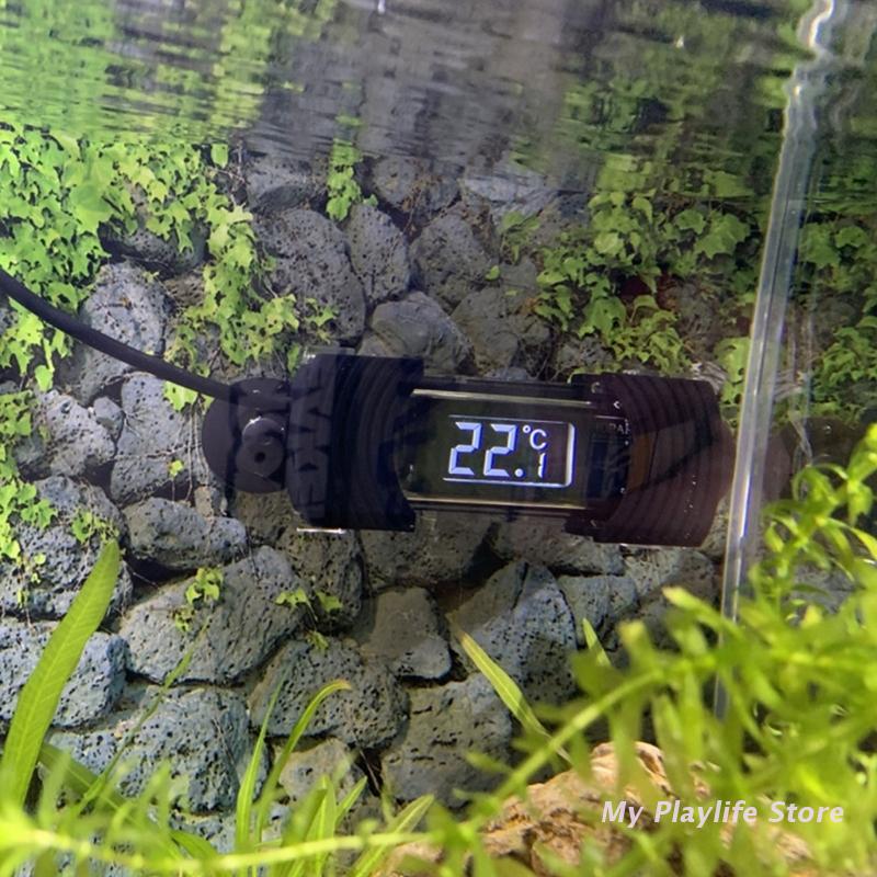 Termometro per acquario termom - Aquarium Thermometer recensione e prezzo