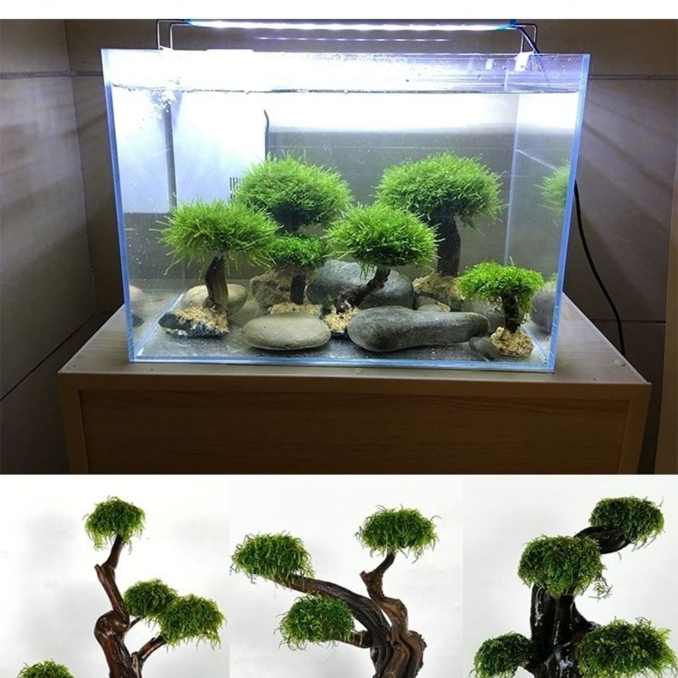 Acquario verde cornice in legn - Aquarium Fish Green recensione e prezzo