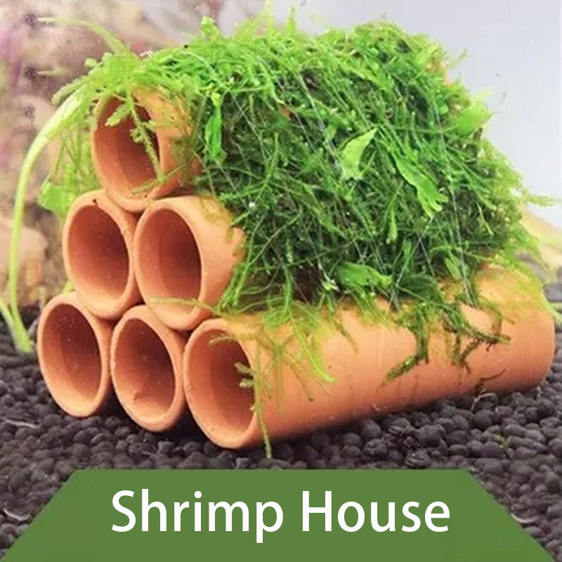 Decorazione per acquario in ar - Aquarium Fish Enrichment recensione e prezzo