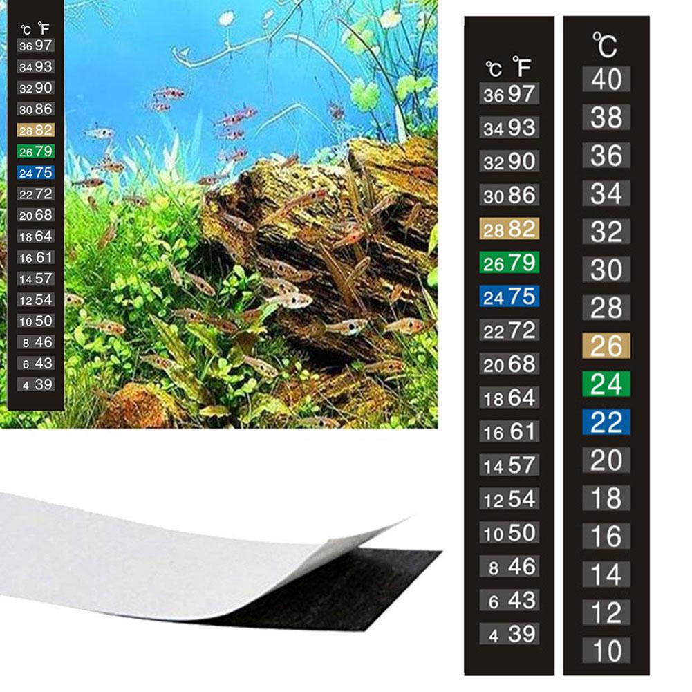 Termometro Adesivo per Acquari - Aquarium Thermometer recensione e prezzo