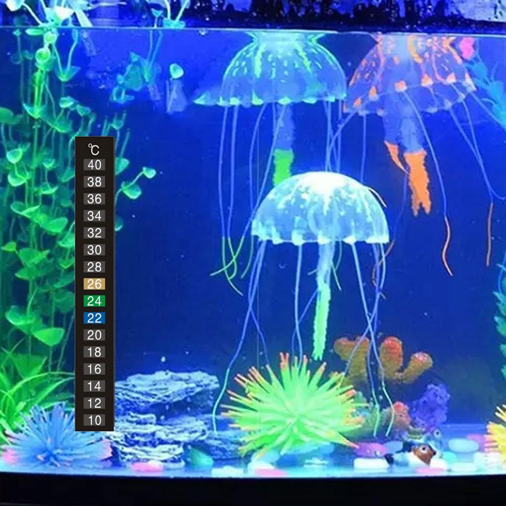 Termometro Adesivo per Acquari - Aquarium Thermometer recensione e prezzo