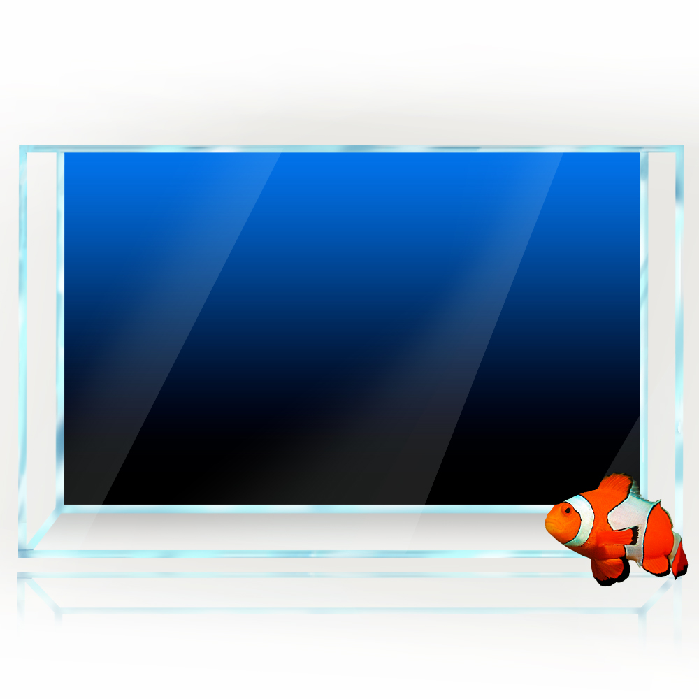 Adesivo per sfondo acquario Ne - Aquarium Fish Green recensione e prezzo