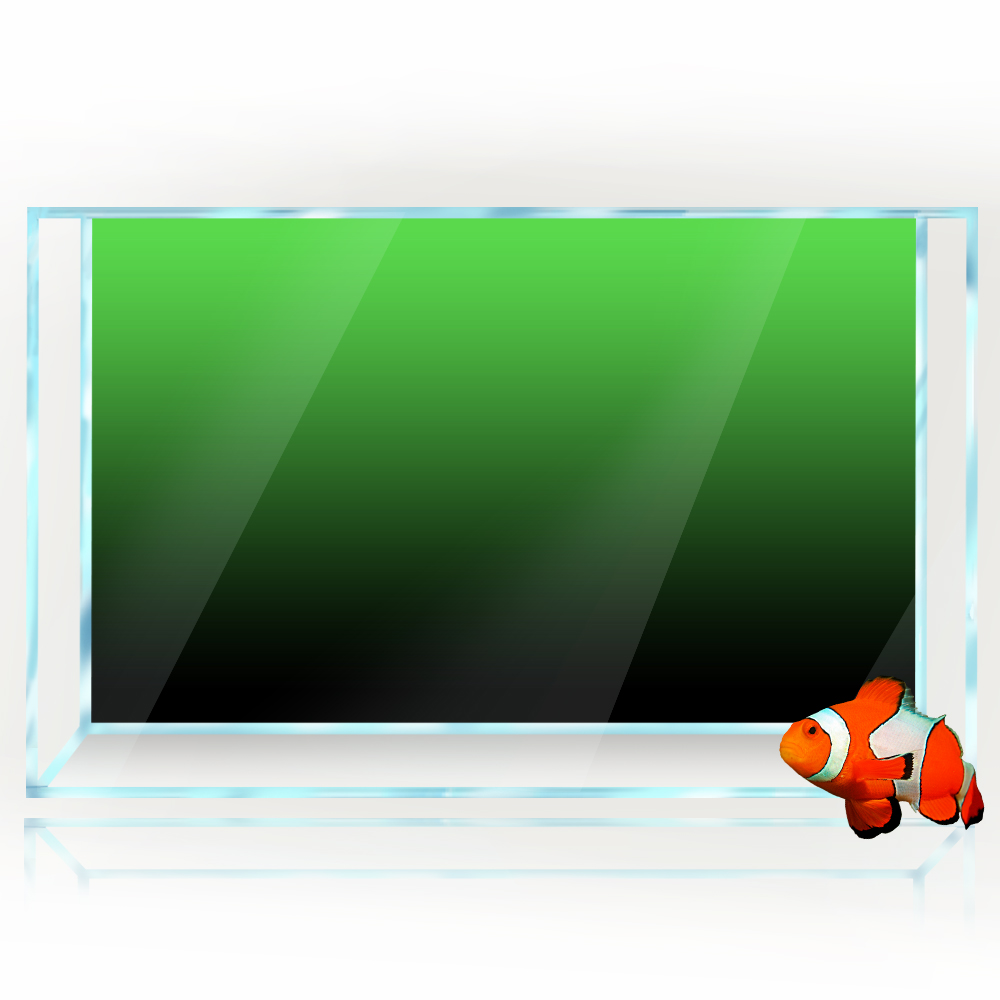 Adesivo per sfondo acquario Ne - Aquarium Fish Green recensione e prezzo