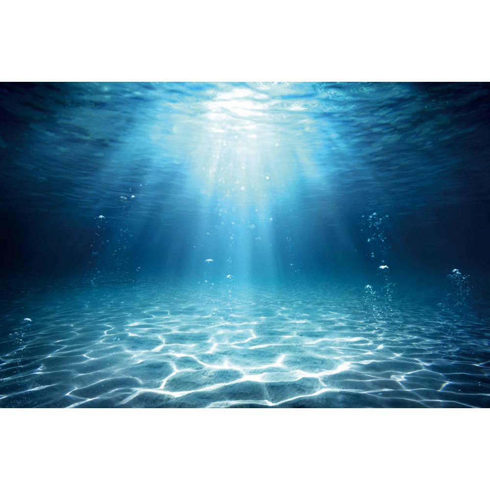 Sfondo fotografico sottomarino - Aquarium Fish World recensione e prezzo