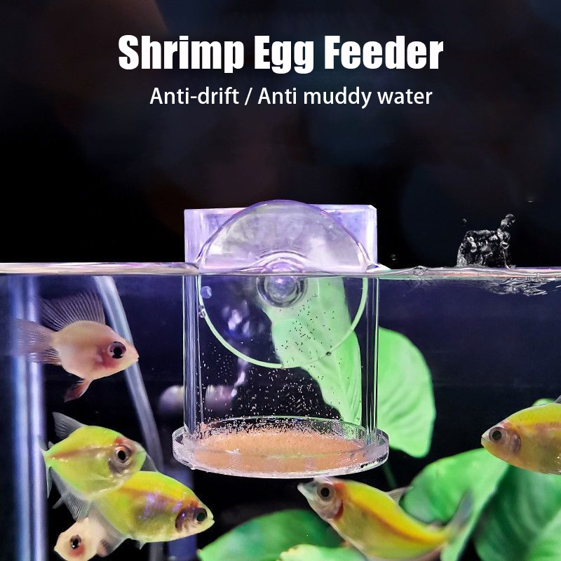 Trasparente Arcylic Acquario T - Aquarium Fish Holiday Food recensione e prezzo
