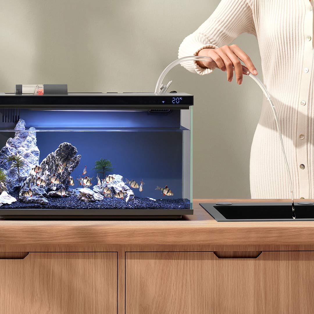 Xiaomi Mijia Smart Fish Tank M - Aquarium Fish App recensione e prezzo