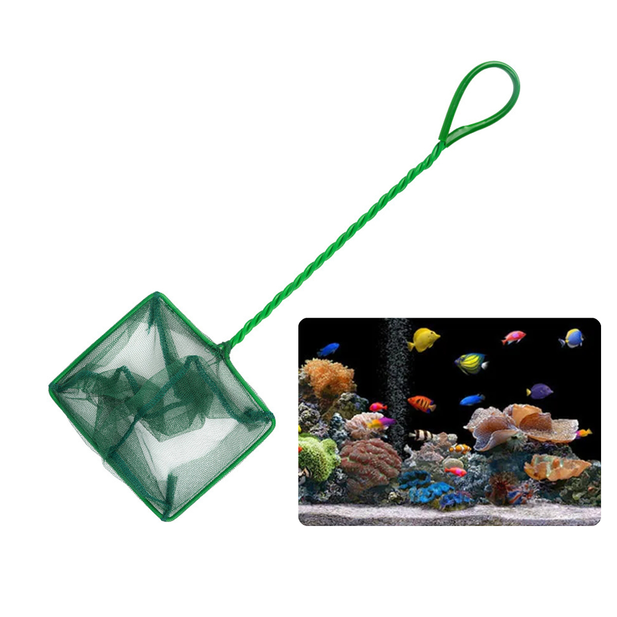 3 ~ 10 pollici portatile in ny - Aquarium Fish Green recensione e prezzo
