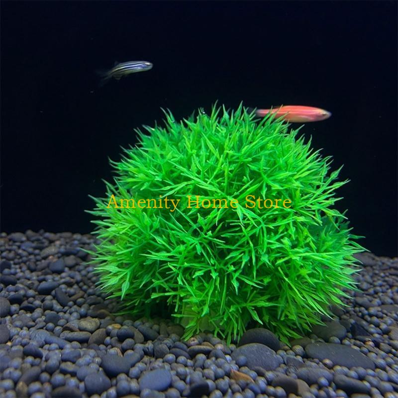 F26C Marimo artificiale verde  - Aquarium Fish Beautiful recensione e prezzo