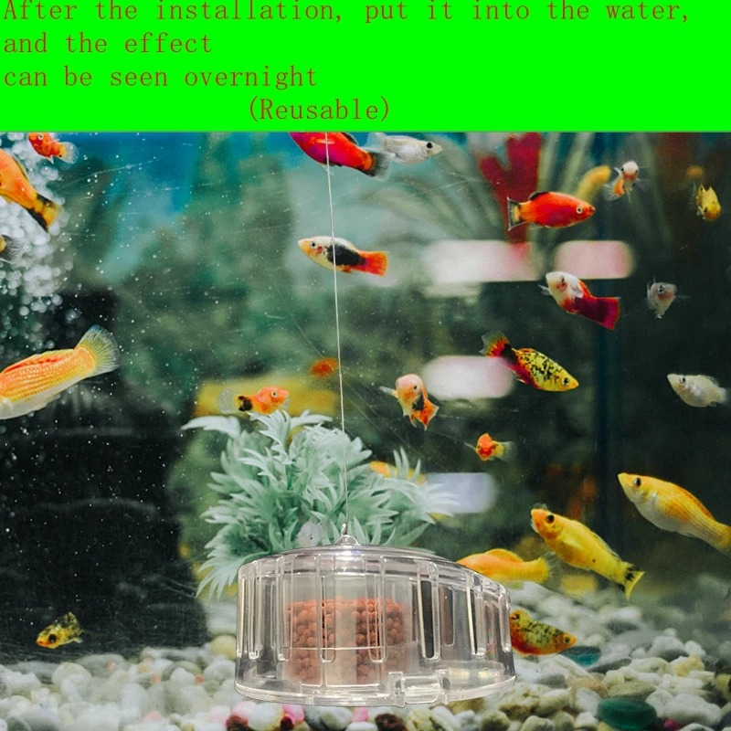 Acquario pianta lumaca trappol - Aquarium Fish Trap recensione e prezzo
