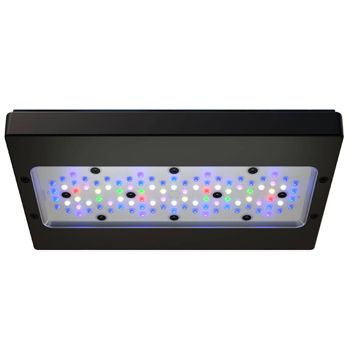 A8 PRO III Max e Blue 245W Luc - Aquarium Fish App recensione e prezzo