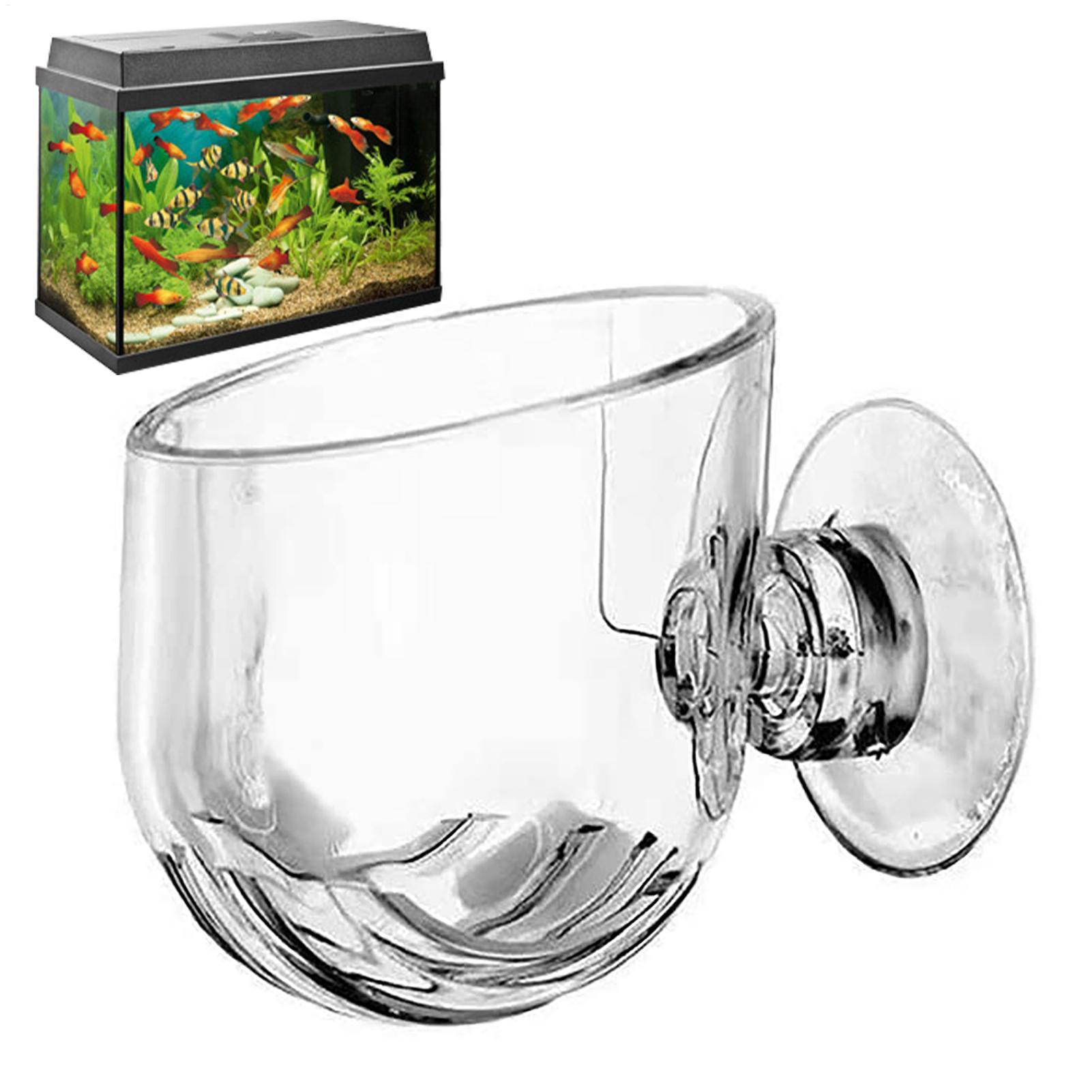 Vaso per Piante Acquatiche in  - Aquarium Fish Beautiful recensione e prezzo