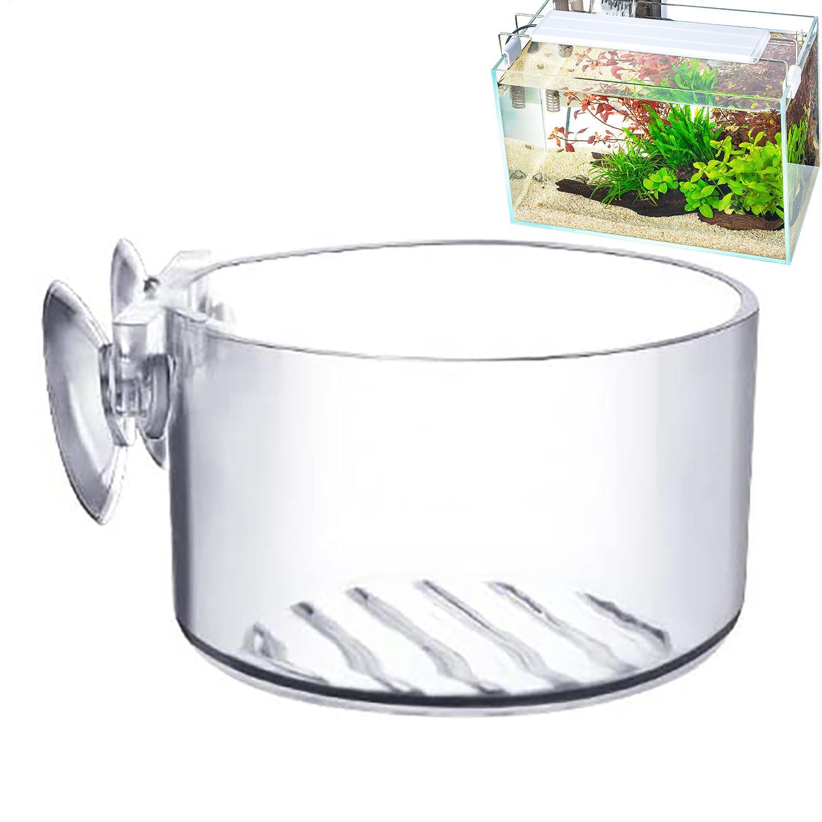 Vaso per Piante Acquatiche in  - Aquarium Fish Beautiful recensione e prezzo