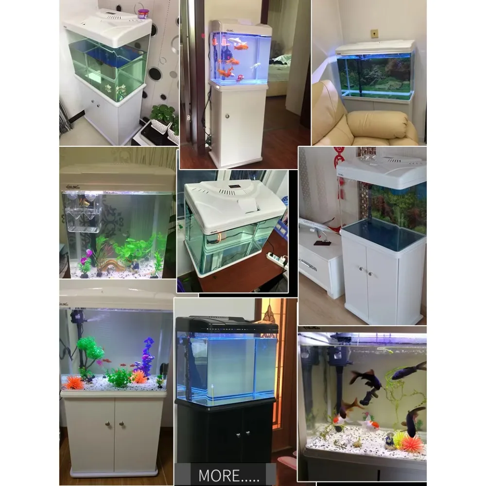 Acquario Xilong di medie e pic - Aquarium Xilong recensione e prezzo