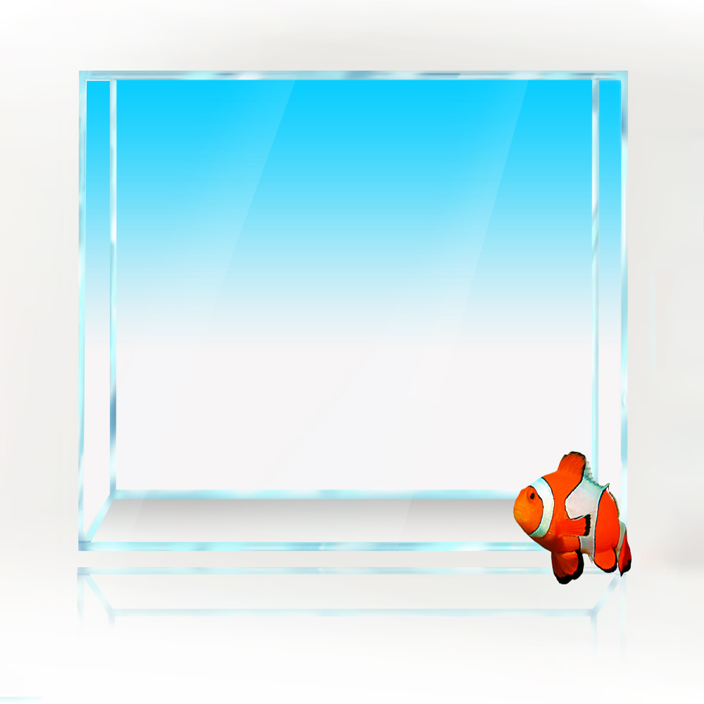 Sfondo quadrato per acquario B - Aquarium Fish Yellow And Black recensione e prezzo