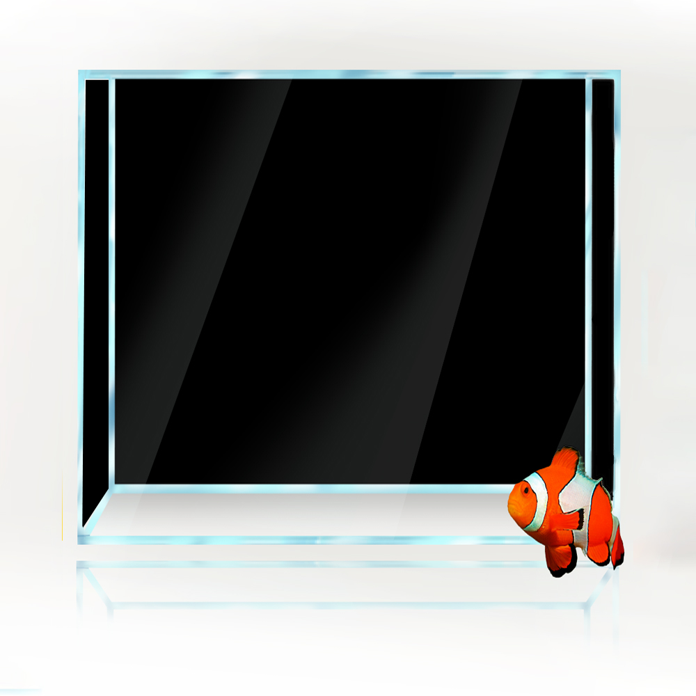 Sfondo quadrato per acquario B - Aquarium Fish Yellow And Black recensione e prezzo