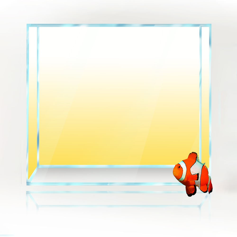 Sfondo quadrato per acquario B - Aquarium Fish Yellow And Black recensione e prezzo