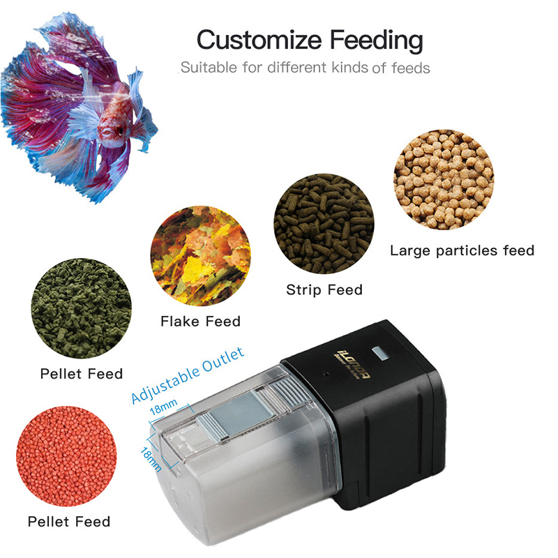 Alimentatore per pesci WiFi in - Aquarium Fish Holiday Food recensione e prezzo